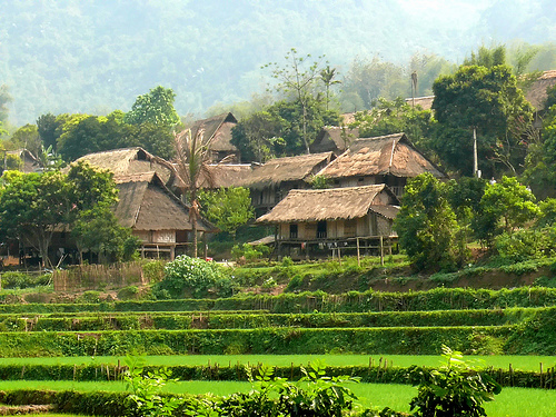 Giảm 30% tour Mai Ch&acirc;u &ndash; Bản L&aacute;c &ndash; Thung Nai chỉ c&ograve;n 805.000 đồng